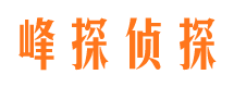 察布查尔侦探